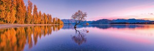  CLEMENTONİ 39608 Yetişkin Panorama Puzzle Lake Wanaka Tree (1000 Parça)